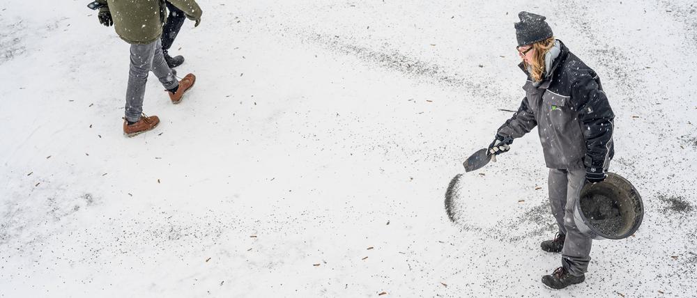 Weiterhin Neuschnee und Frost in Berlin und Brandenburg.