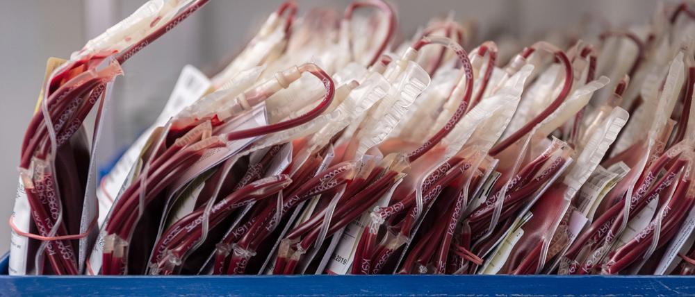 ARCHIV - 01.07.2019, Sachsen, Dresden: Blutkonserven liegen in Kisten im Kühlraum beim DRK-Blutspendedienst Nord-Ost. (zu dpa: «Eisglätte und Infektionen - weniger Blutspenden im Dezember erwartet») Foto: Robert Michael/dpa +++ dpa-Bildfunk +++