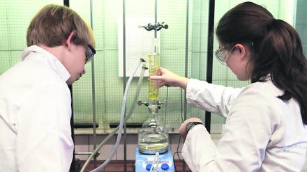 Von der Natur lernen und stärker praxisbezogen arbeiten: Grüne Chemie stellt neue Fragen an die Produkte.