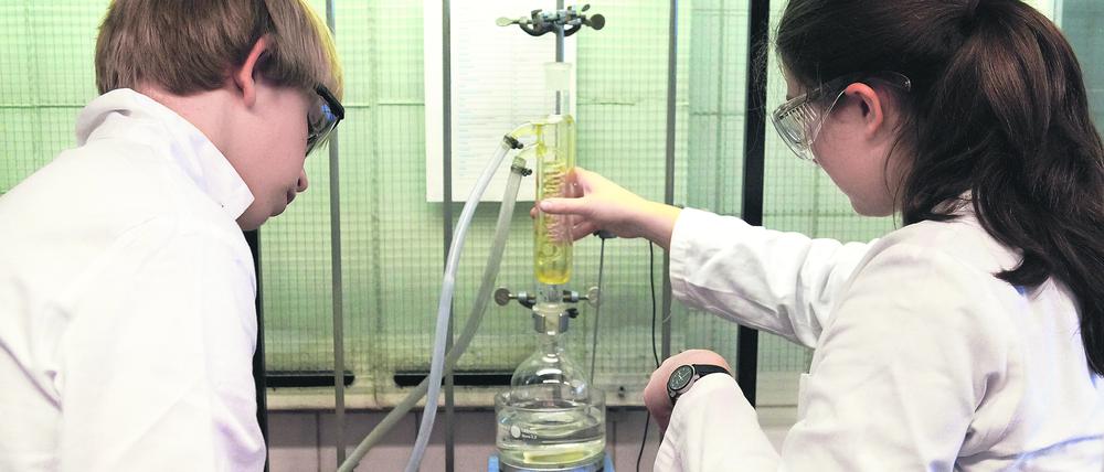 Von der Natur lernen und stärker praxisbezogen arbeiten: Grüne Chemie stellt neue Fragen an die Produkte.