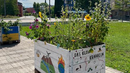 Inzwischen zerstört: Hochbeete einer Studierendeninitiative in Frankfurt.