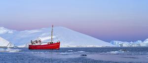 Für ihre wissenschaftlichen Arbeiten wird die Geoökologin und Polarbiologin Prof. Ulrike Herzschuh mit dem Leibniz-Preis ausgezeichnet.