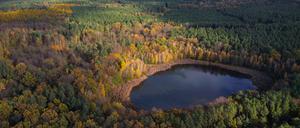 ARCHIV - 16.11.2023, Brandenburg, Petershagen: Die Sonne scheint über einen Wald mit einem kleinen See, der teilweise von herbstlich bunt gefärbten Laubbäume umgeben ist (Luftaufnahme mit einer Drohne). (zu dpa: «Schutzgemeinschaft: Keine echte Erholung für Wald in diesem Jahr») Foto: Patrick Pleul/dpa +++ dpa-Bildfunk +++