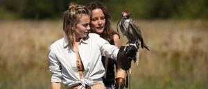 Charlie (Olga Luckwald) , Inga (Anne Ratte-Polle) und der Falke Giovanni.  