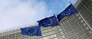 Die EU-Kommission hat die Aufnahme von Beitrittsgesprächen mit der Ukraine empfohlen. Jetzt sind die Staats- und Regierungschefs der Gemeinschaft am Zug. 