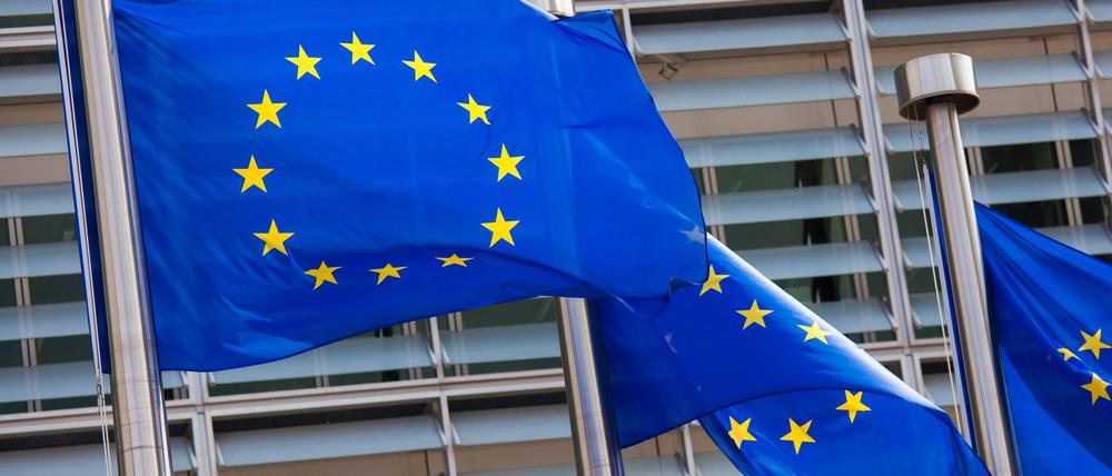 Ende dieser Woche kommen die Staats- und Regierungschefs der EU in Brüssel zum EU-Gipfel zusammen.
