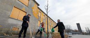 Baumpflanzung in Krampnitz.
In Krampnitz wachsen mit den ersten Straßen und dem neuen Grundschulcampus nicht nur die baulichen Strukturen des neuen Stadtquartiers: Vor wenigen Wochen wurde damit begonnen, die ersten straßenbegleitenden Bäume einzubringen. Mit der Pflanzung des 199. neuen Baumes in Krampnitz setzen Oberbürgermeister Mike Schubert, der Beigeordnete für Stadtentwicklung, Bauen, Wirtschaft und Umwelt Bernd Rubelt sowie Bert Nicke, Geschäftsführer des Entwicklungsträgers Potsdam, nun den Schlusspunkt dieser ersten Pflanzperiode in Potsdams neuem Norden.