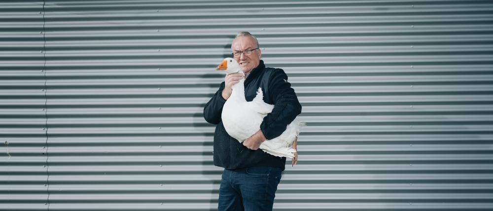 Gnadengans Fridolin ist acht Kilogramm schwer und hält nur mit Mühe still. Wenn man Pech habe, beiße einem der Vogel in die Nase, sagt Eskildsen.