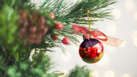 Ein „deutscher“ Weihnachtsbaum.