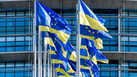 Ukrainische und europäische Flaggen.