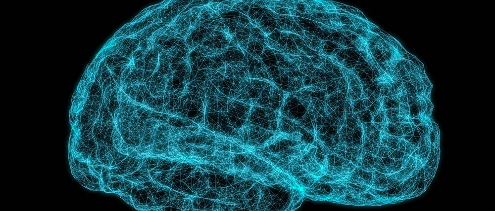 Lesen, Rechnen, Rätseln: Es sind die komplexen Denkvorgänge im Gehirn, die zum hohen Energieverbrauch des Organs führen.