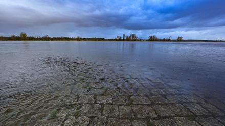11.12.2023, Brandenburg, Genschmar: Der steigende Pegel vom deutsch-polnischen Grenzfluss Oder hat hier im Oderbruch in Ostbrandenburg bereits eine Buhne überflutet. Das Oderbruch ist nach der Trockenlegung vor knapp 270 Jahren entstanden und wurde durch Preußenkönig Friedrich II. mit Kolonisten besiedelt. Es wird mit einem ausgeklügelten Wassersystem als Lebensraum erhalten. Foto: Patrick Pleul/dpa/ZB - Honorarfrei nur für Bezieher des Dienstes ZB-Funkregio Ost +++ ZB-FUNKREGIO OST +++