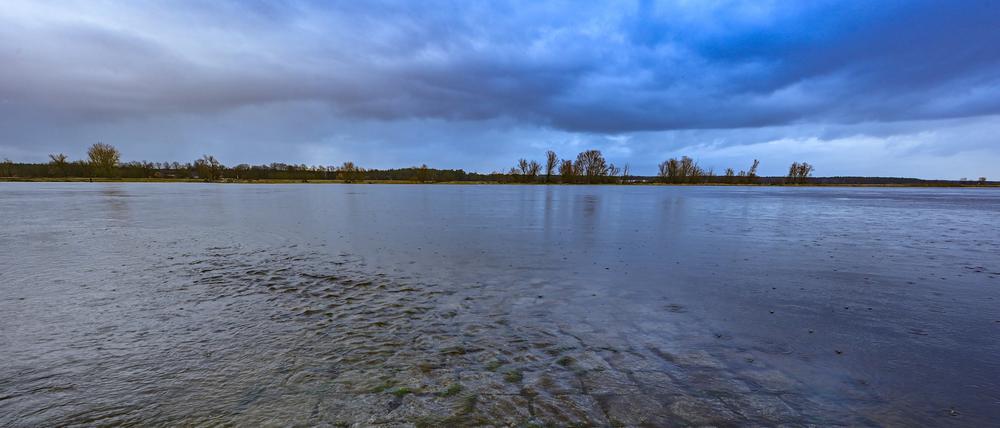 Mal Trockenheit, mal Flut. Der Oderbruch bei Genschmar im Dezember .2023.