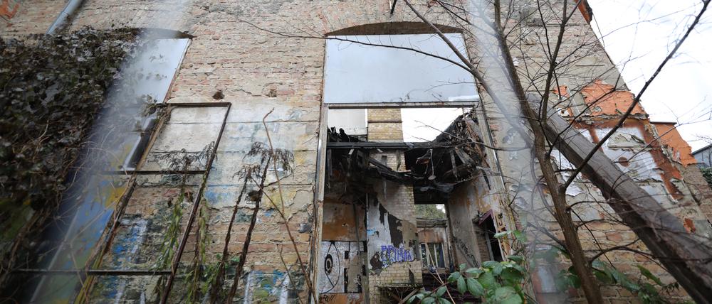 Derzeit eine Ruine. Das Kino Charlott in Potsdam.
