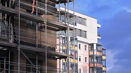 Mit solchen Holzbaumodulen können Wohnungen schnell und effizient zusammengebaut werden.
Foto: Ottmar Winter, PNN