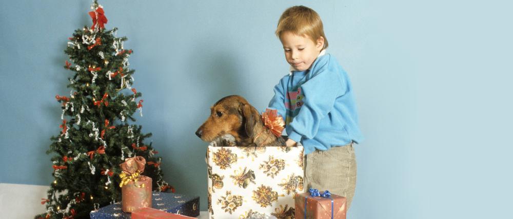 Oft werden Tiere verschenkt, hier sollen sie aber beschenkt werden.