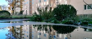 Berlin - Deutschland. Hausfassaden spiegeln sich in einer Pfütze. *** Berlin Germany House facades are reflected in a puddle