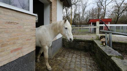 Der Therapiehof befindet sich am Eichengrund am Rande von Groß Glienicke.