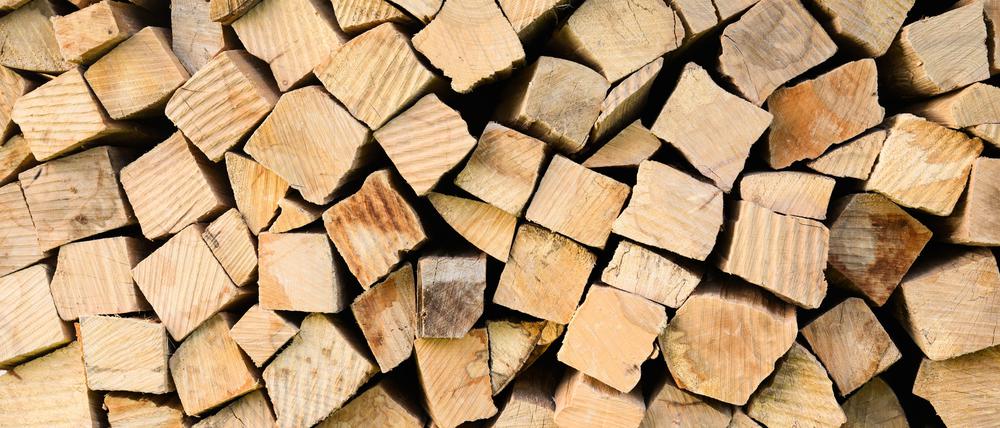 Kammergetrocknetes Buchen-Brennholz wird in einem Unterstand gelagert.