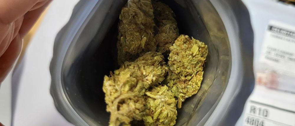 Der Potsdamer Zoll fing zweieinhalb Kilo Cannabis ab, die für Berlin bestimmt waren.