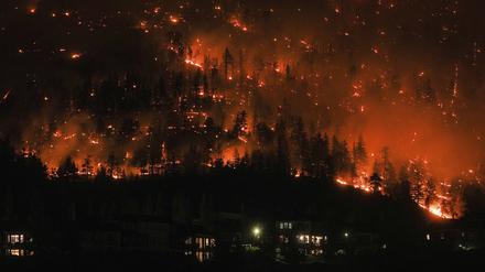Ein Waldbrand am McDougall Creek an einem Berghang in Kanada. 