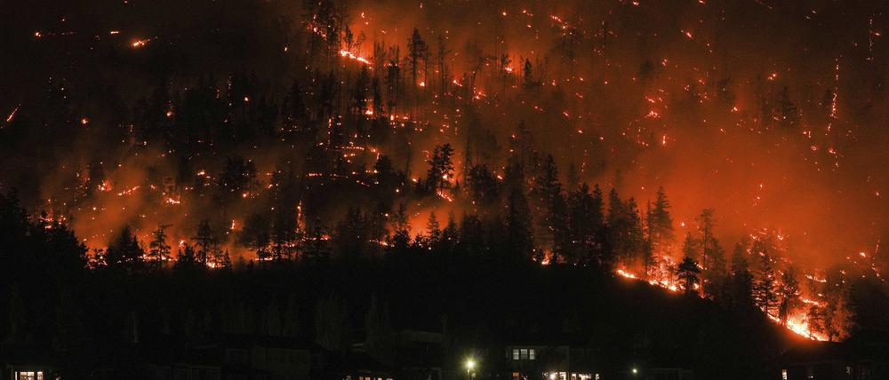 Ein Waldbrand am McDougall Creek an einem Berghang in Kanada. 