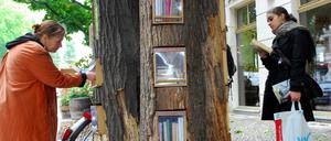 Der Bücherwald ist das erste öffentliche Bücherregal in der Sredzkistraße Ecke Kollwitzstraße in Prenzlauer Berg.