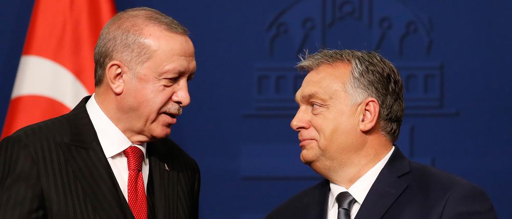Der türkische Präsident Recep Tayyip Erdogan (li.) mit Ungarns Premier Viktor Orban.