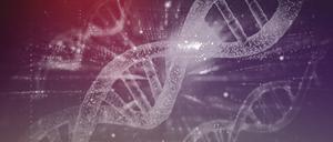DNA Sequencing