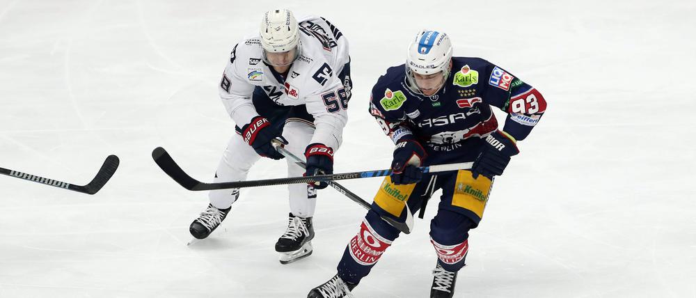Prägten das Spiel: Leo Pföderl (r.) bereitete ein Eisbären-Tor vor, Tyler Gaudet traf für Mannheim.