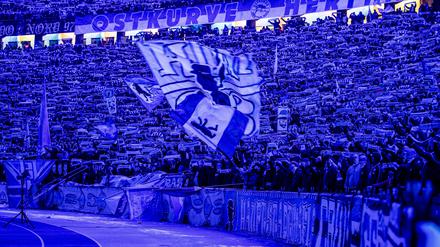 Hertha BSC: Fans im Olympiastadion.