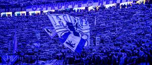 Hertha BSC: Fans im Olympiastadion.
