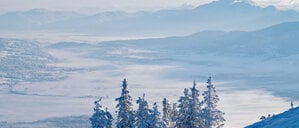 Verschneite Fichten am Gipfelhang des Hinteren Hörnle (1548 Meter) in den Ammergauer Alpen, im Hintergrund das Murnauer Moos und der Gipfel der Benediktenwand. 