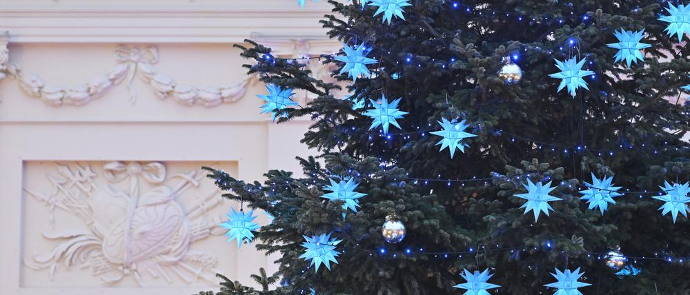 Blauer Lichterglanz in Potsdam 2023.