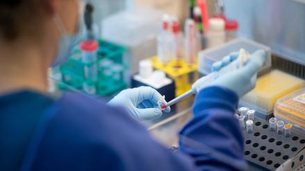 Eine Mitarbeiterin arbeitet an einer Sicherheitswerkbank in einem Labor im Institut für Hygiene und Gesundheit.