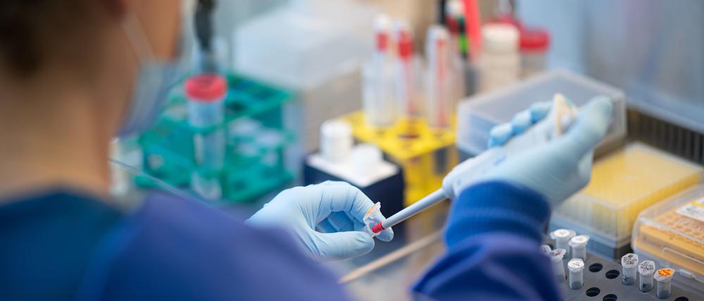 Eine Mitarbeiterin arbeitet an einer Sicherheitswerkbank in einem Labor im Institut für Hygiene und Gesundheit.