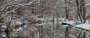 Im Winter zeigt der Spreewald oft seine mystische Seite. 