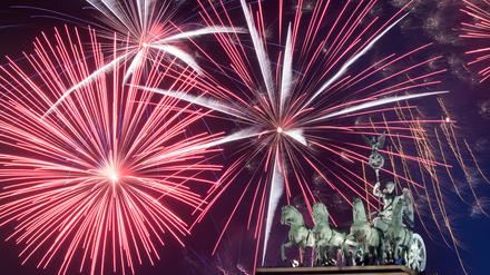 Der Lärm an Silvester stresst Tiere.