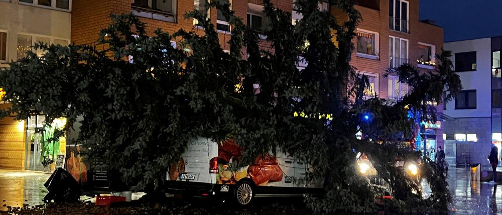 Der große Weihnachtsbaum in Kleinmachnow ist umgestürzt.