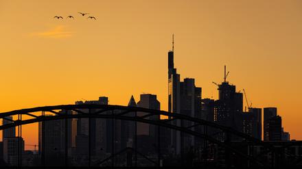 Die Frankfurter Skyline am Abend Wildgänse fliegen am Abend über die Frankfurter Bankenskyline hinweg.