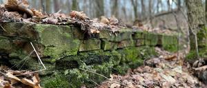Mauerreste im Wald: Hier stand einmal die Wolffsohn-Villa.