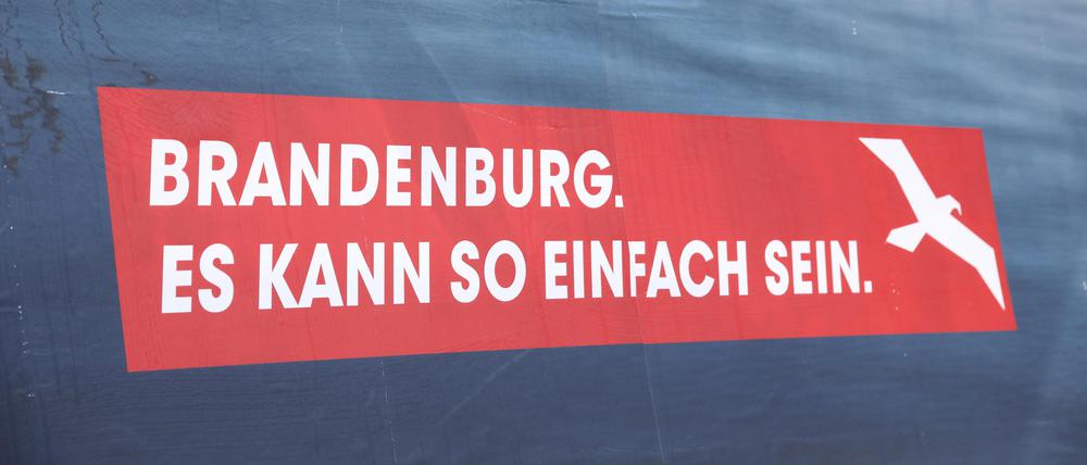 Wirklich einfach war es nicht immer 2023 in Brandenburg.