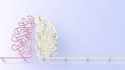 In einer Welt voller Krisen kommt der Wissenschaft mehr Bedeutung zu als ohnehin. Warum schwindet trotzdem das Vertrauen in sie?