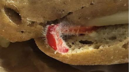 Schimmlige Brötchen, die an die Polizei Berlin verteilt wurden.