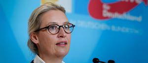 AfD-Partei- und Fraktionschefin Alice Weidel.