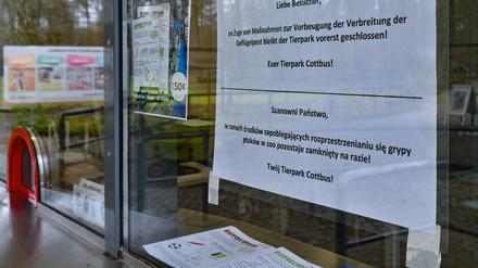 Eineinhalb Wochen war der Tierpark Cottbus, in dem etwa 500 Vögel leben, geschlossen. Ab Mittwoch öffnet er wieder. 