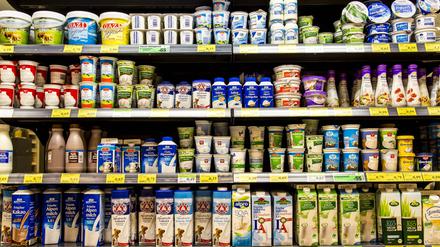 Supermarkt, Regal mit verschiedenen Produkten, Kühlregal mit verschiedenen Milchprodukten, Milch, Sahne, Jogurt, Bio Produkte