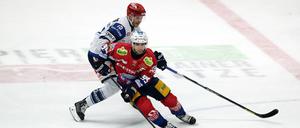 Eisbären-Profi Frederik Tiffels (in Rot) und Daniel Pfaffengut lieferten sich mit ihren Teams ein hart umkämpftes Match.