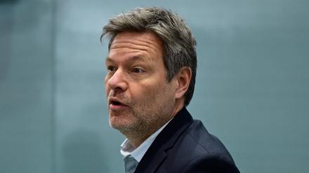 Robert Habeck wurde Zielscheibe wütender Bauernproteste.