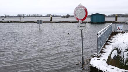 Elbehochwasser in Wittenberge/ Prignitz, 5. Januar 2024, 
